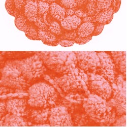 Himalaya Yo-Yo 82117 Himalaya Yo-Yo 82117